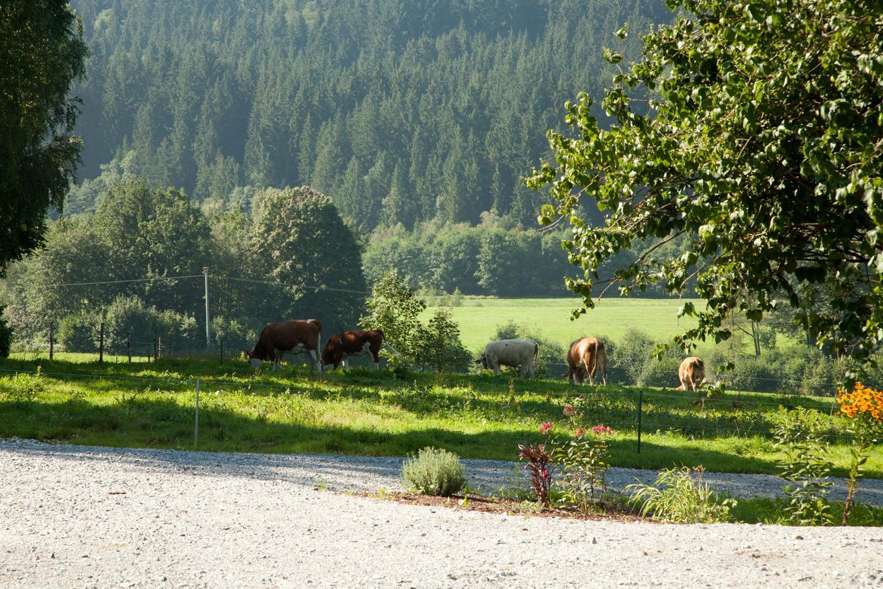 Landhotel Bayerwald Grafling Kültér fotó